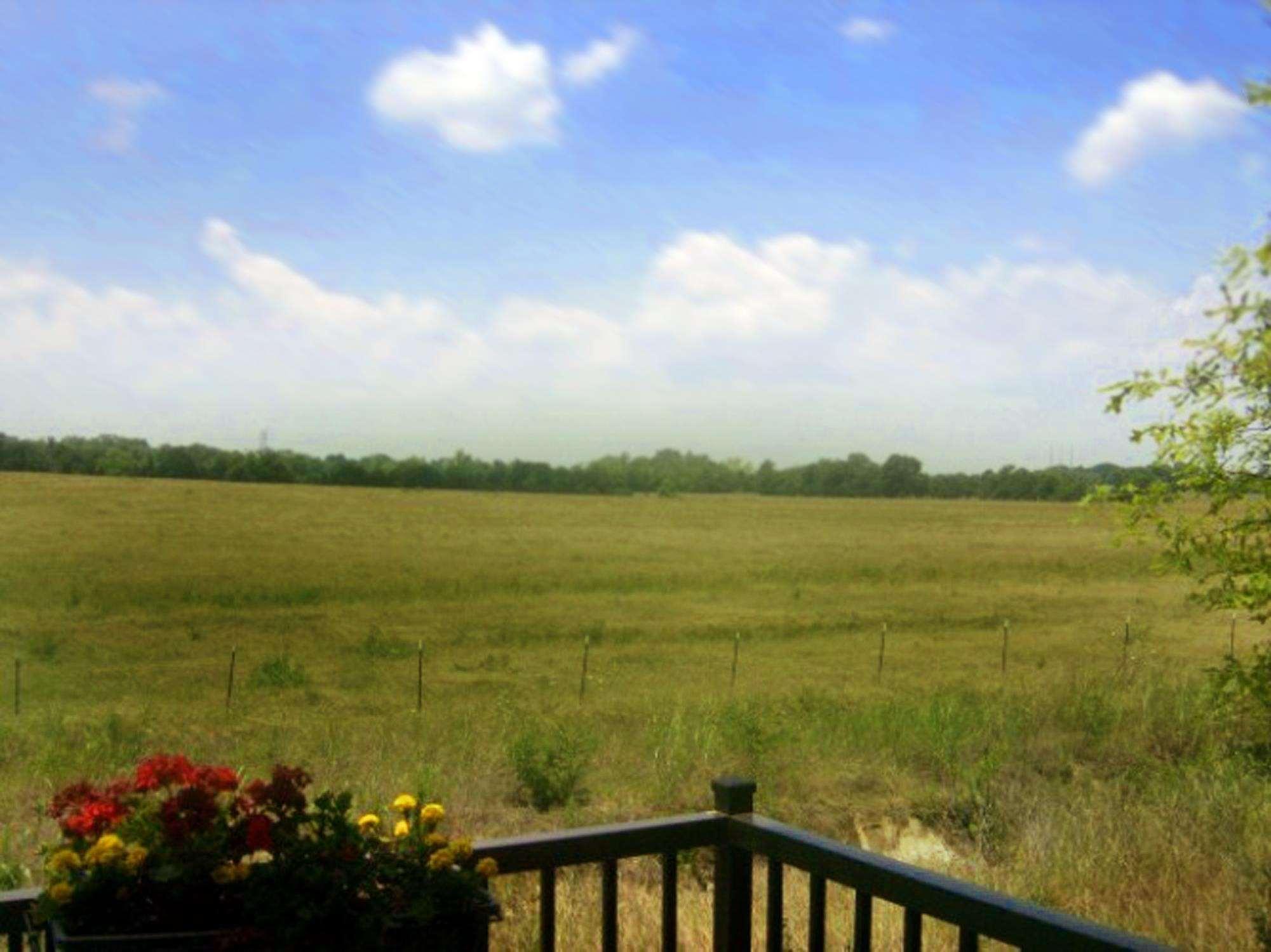 Hampton Inn Montgomery-South-Airport Hope Hull Buitenkant foto